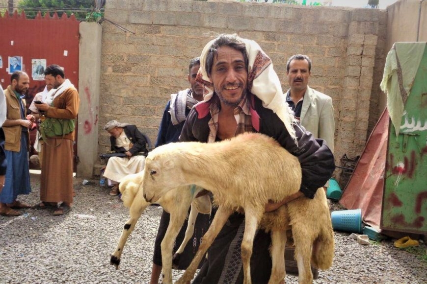 ارتفاع كبير في أسعار أضاحي العيد بعدن