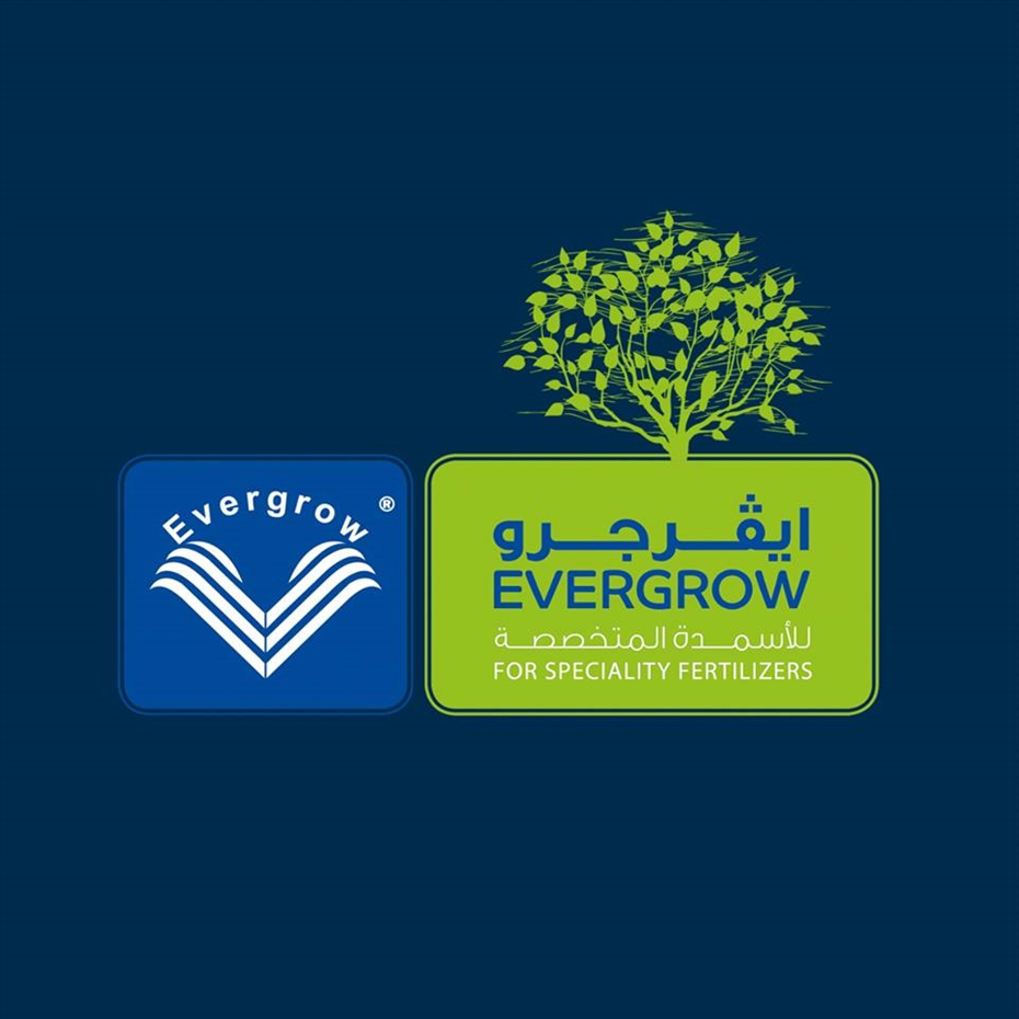 "إيفر جرو" للأسمدة تؤكد لـ"المال" انتظام إمدادات الغاز المورد من الحكومة حتى الآن