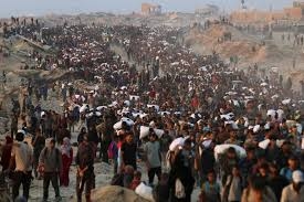 عشائر غزة: نرفض المساعدات المغمسة بالدم ونطالب العالم الحر بالتدخل