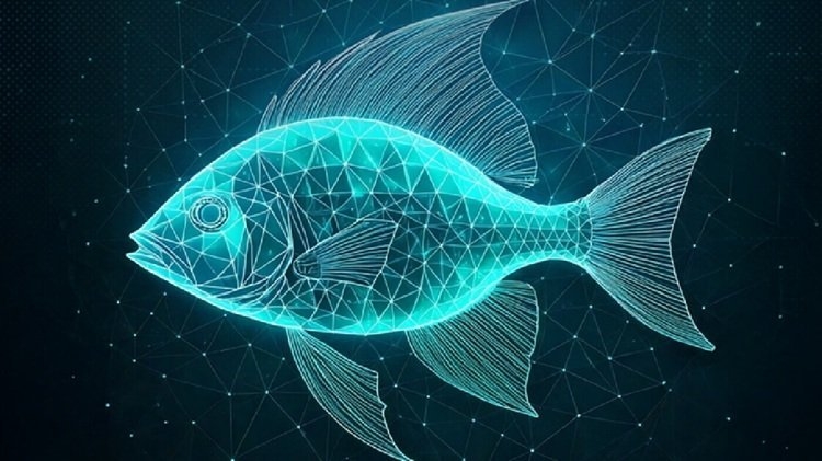 ESET Research Reveals Operation FishMedley by China's FishMonger and I-SOON