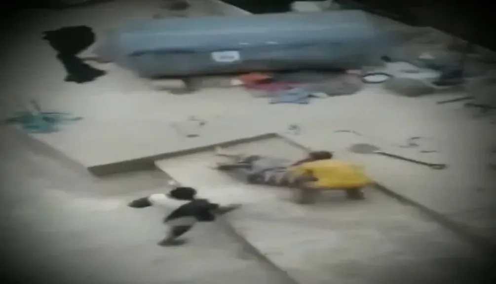 جريمة قتل مروّعة في إب.. عم يقتل ابن أخيه أمام أسرته بسبب خلاف على فناء منزل