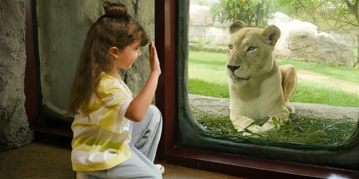 Dubai Safari Park announces 67% increase in travel trade sales