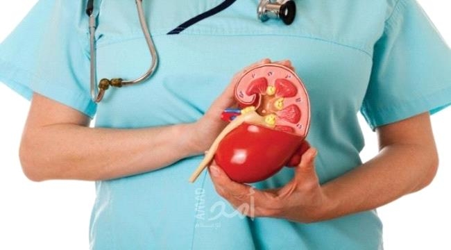 9 عادات يومية شائعة تضر بصحة الكلى