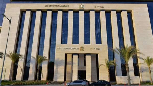 براتب 290 دينار.. وظائف شاغرة بالأردن في مجال تربية الطيور