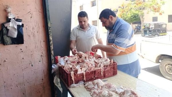 استعدادا لعيد الأضحى.. بيطري كفر الشيخ يحرر 4 محاضر خلال حملات مكثفة