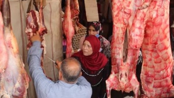 استقرار أسعار اللحوم بمحال الجزارة ومنافذ الحكومة