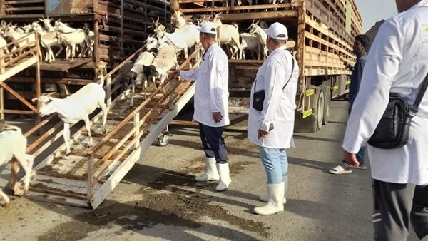 وزير الزراعة يتابع جهود الإشراف على الأضاحي بالأراضي المقدسة