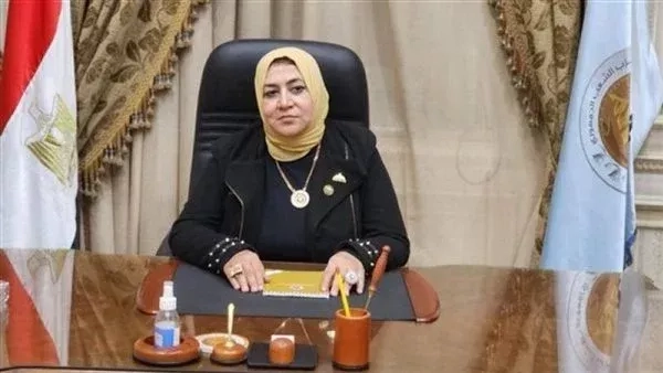 لحماية المواطنين.. طلب إحاطة بشأن اللوحات الإعلانية المضيئة ليلا على الطرق