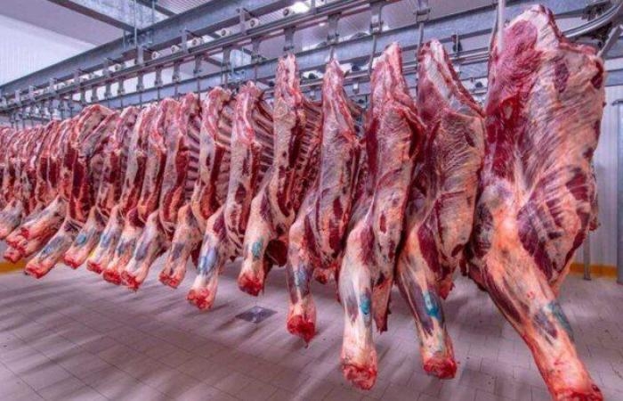 الكندوز بـ 440 جنيهًا.. أسعار اللحوم اليوم الاربعاء 2 ابريل 2025