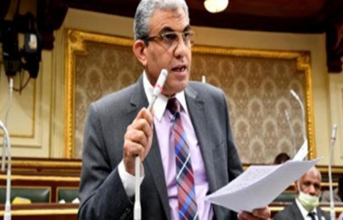 أخبار مصر : النائب عادل عبد الفضيل يعلن تفاصيل آخر تعديلات قانون العمل.. ويؤكد: يحقق الأهداف المرجوة