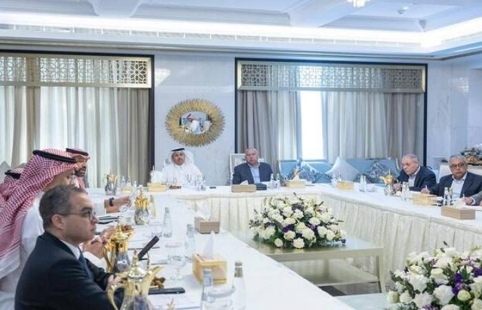 إقتصاد : أثناء زيارته للمملكة.. وزير النقل المصري ونظيره السعودي يتفقدان مشروع نيوم
