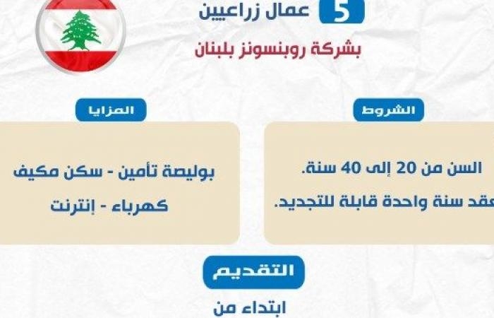 أخبار مصر : فرص عمل بلبنان في قطاع الزراعة براتب 500 دولار