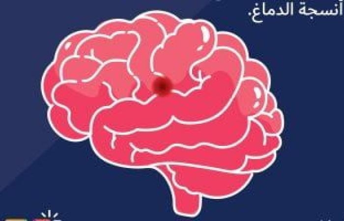 صحة وطب : دراسة: الخضراوات الورقية والتوت يساعدان على حماية الدماغ