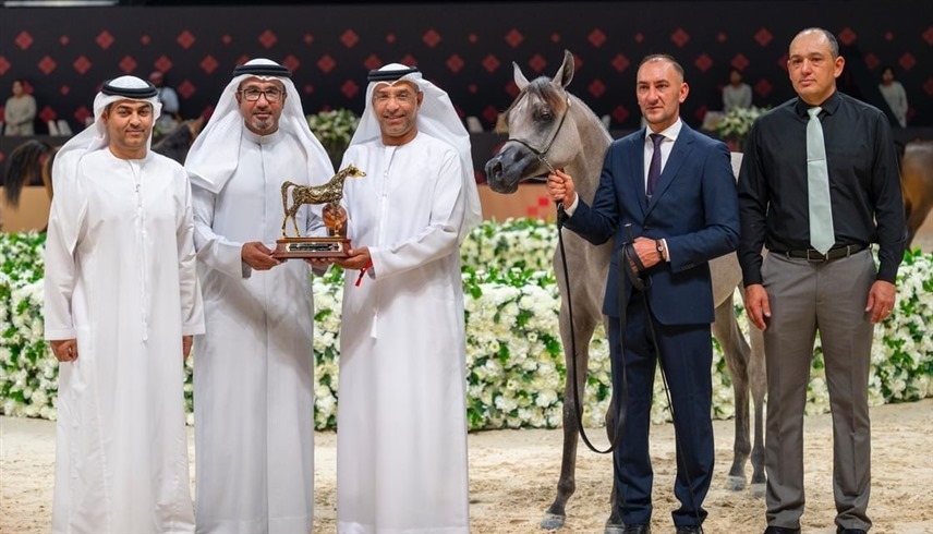 " شادن ياسر" تحقق أعلى معدل في "أبوظبي لجمال الخيل العربية"