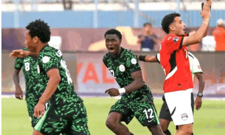 نيجيريا تحرز المركز الثالث في كأس افريقيا