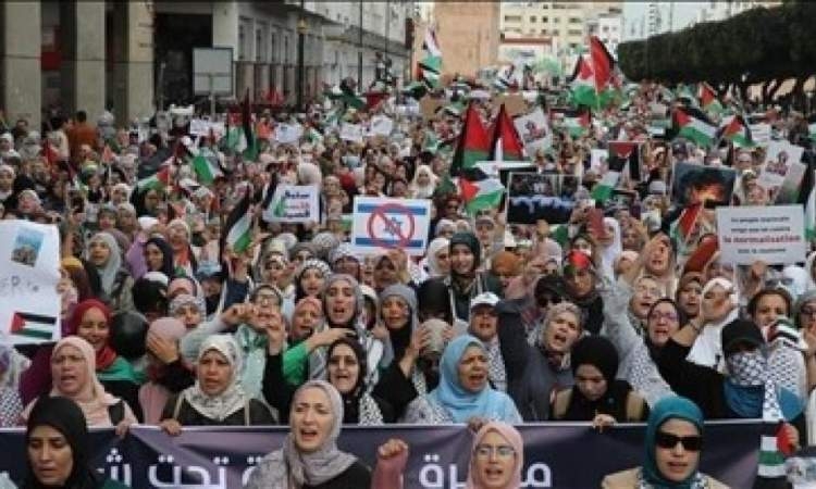 أكثر من 70 مظاهرة بالمغرب تنديدًا بالإبادة في غزة