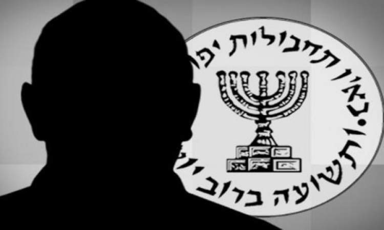 أكاديمي مصري يحذر من حملة استخباراتية في اليمن
