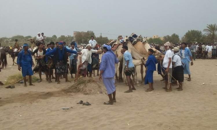 مهرجان كرنفالي شعبي في النخيلة بالدريهمي بمحافظة الحديدة
