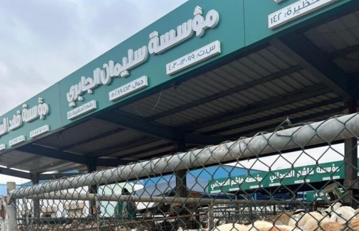 السواكني يلهب أسعار اللحوم