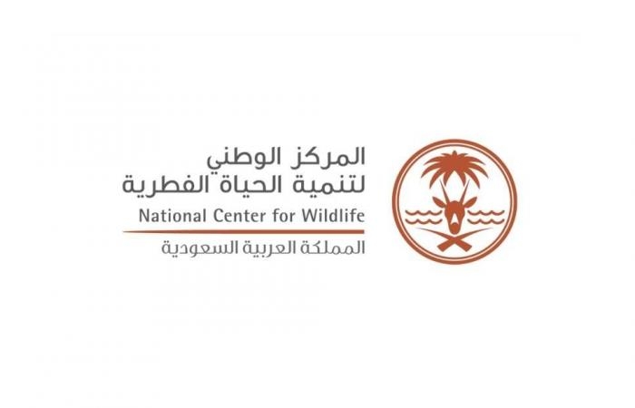 الحياة الفطرية: جراء الذئاب الرهيبة المعلن عن ولادتها ليست مستنسخة