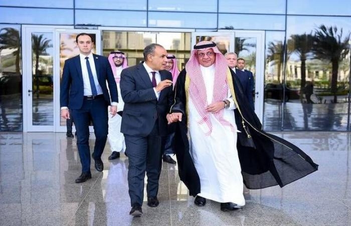 عبد العاطي يبحث مع التويجري فرص تعميق الاستثمارات السعودية في مصر