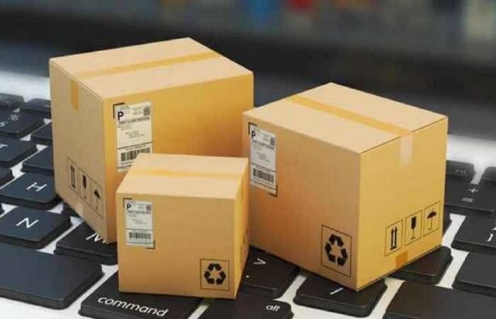 "النقل": أكثر من 63 مليون طرد خلال 3 أشهر.. وFedEx تتصدر الشكاوى بمؤشر الأداء