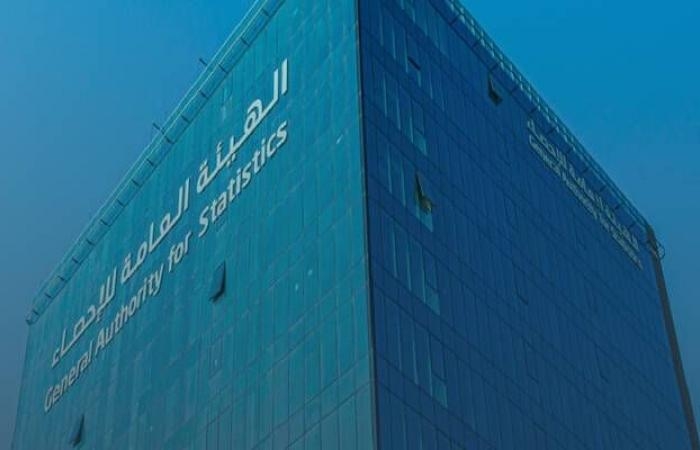 هيئة الإحصاء: حصة الاقتصاد الرقمي ترتفع إلى 15.6% من الناتج المحلي للمملكة