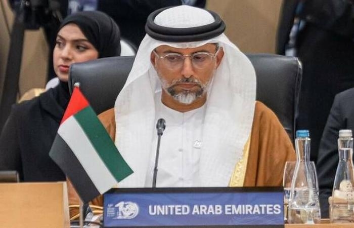 وزير الطاقة الإماراتي: لولا "أوبك+" لعمت الفوضى بأسواق النفط والطلب قد يفاجئنا