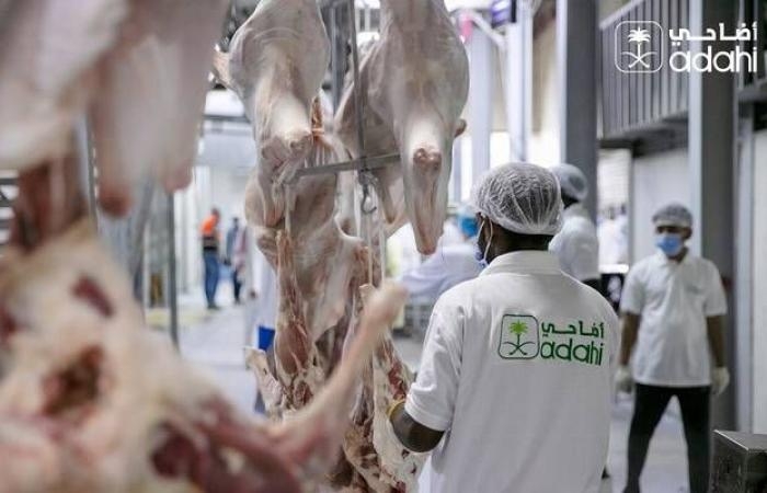 المشرف على مشروع "أضاحي": بيع أكثر من 811 ألف رأس في يوم النحر