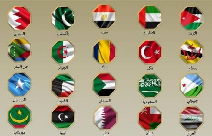 20 دولة عربية وإسلامية يصدرون بيانا مشتركا لإدانة الهجوم الإسرائيلي على إيران