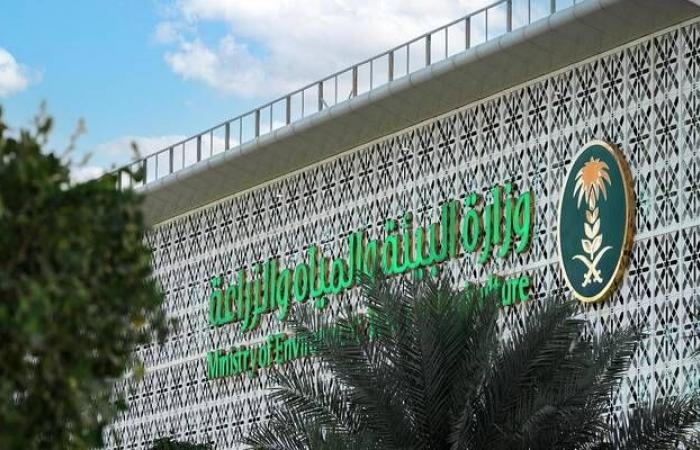 السعودية.. زراعة 115 مليون شجرة وإعادة تأهيل 313 ألف هكتار من الأراضي المتدهورة