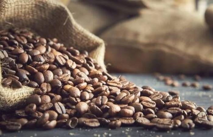 تراجع عالمي في أسعار القهوة مع تسارع حصاد البرازيل