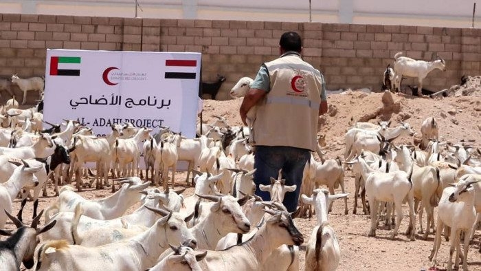 يستهدف 1612 أسرة.. هلال الإمارات يدشن برنامج الأضاحي في شبوة