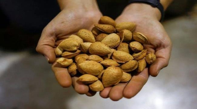 ماذا يحدث لجسمك إذا تناولت اللوز بانتظام؟