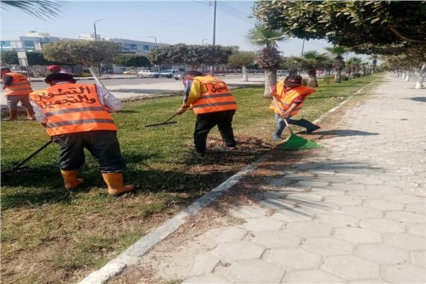 حملة مكثفة لتجميل وصيانة المسطحات الخضراء والميادين بالإسماعيلية