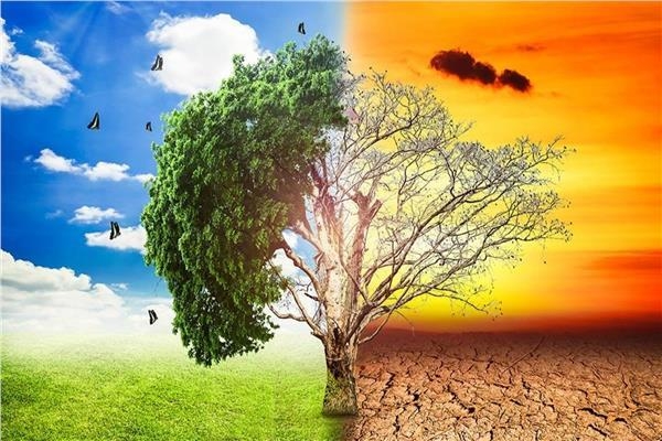 خبير مناخ يؤكد على ضرورة توخي الحذر عند التعرض لأشعة الشمس