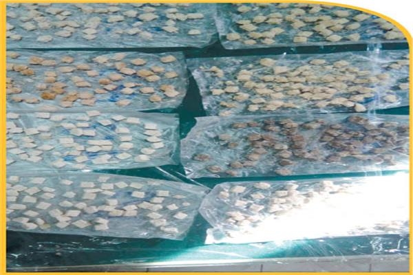 سماد مركب بطىء الذوبان يوفر 200 مليون دولار
