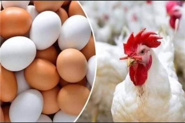 أسعار الخضروات والأسماك والدواجن اليوم 30 مايو بسوق العبور للجملة