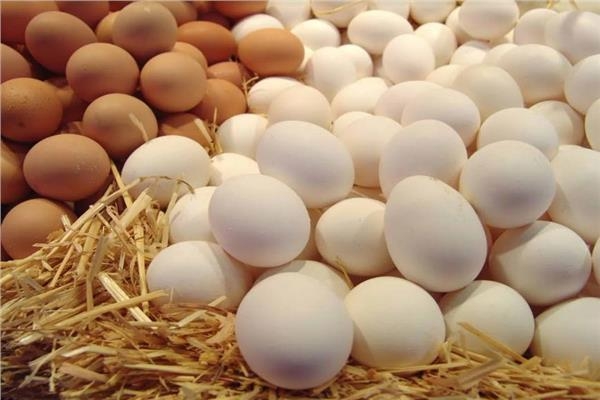أسعار البيض اليوم الأربعاء 4 يونيو