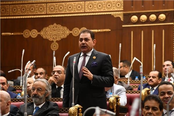 برلماني: ثورة 30 يونيو ملحمة شعبية واعية للدفاع عن هوية الدولة