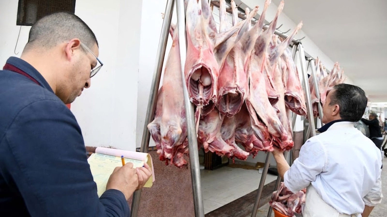 'حماية المستهلك' تدعو المواطنين إلى التبليغ عن أي زيادة في أسعار اللحوم قبل عيد الأضحى