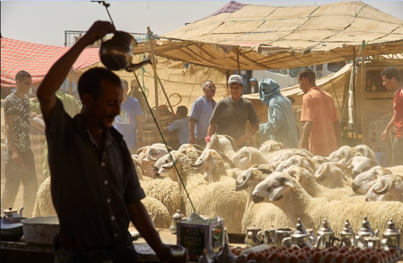 إلغاء شعيرة الأضحية في المغرب لأول مرة في عهد الملك محمد السادس: قرار تاريخي يسعد المغاربة