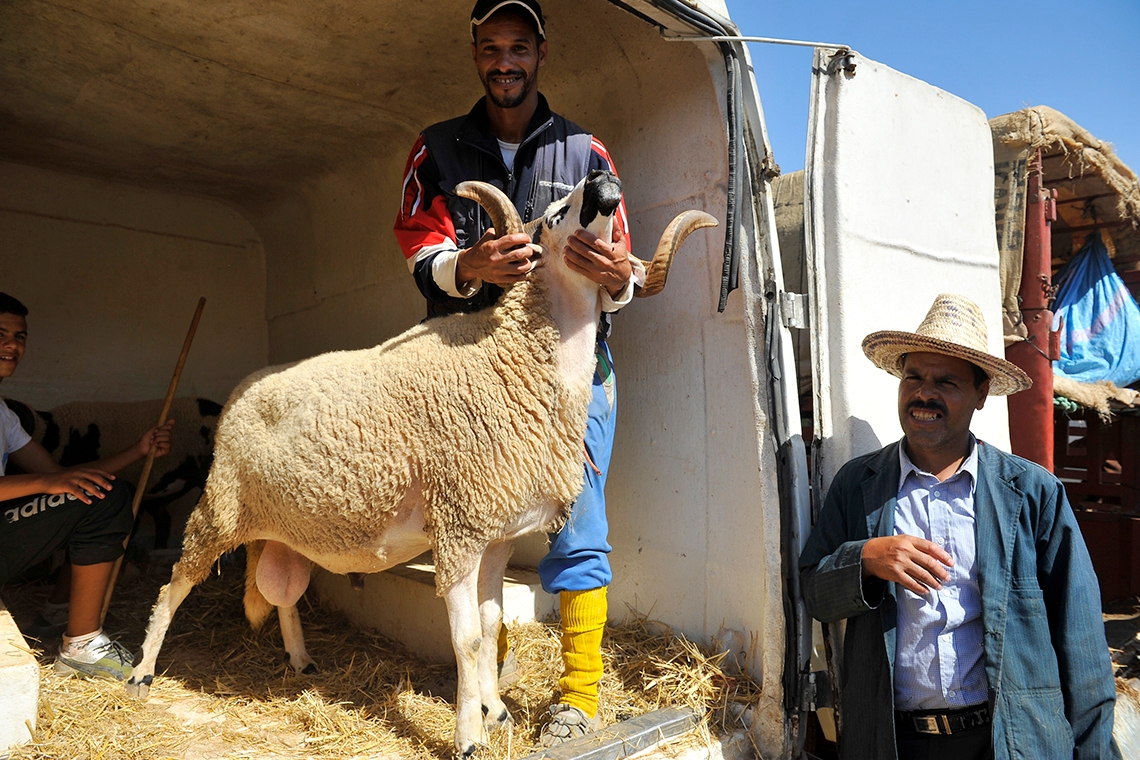هل أصدرت وزارة الداخلية توجيهات لمنع مظاهر شعيرة عيد الأضحى في المغرب بتعليمات ملكية؟