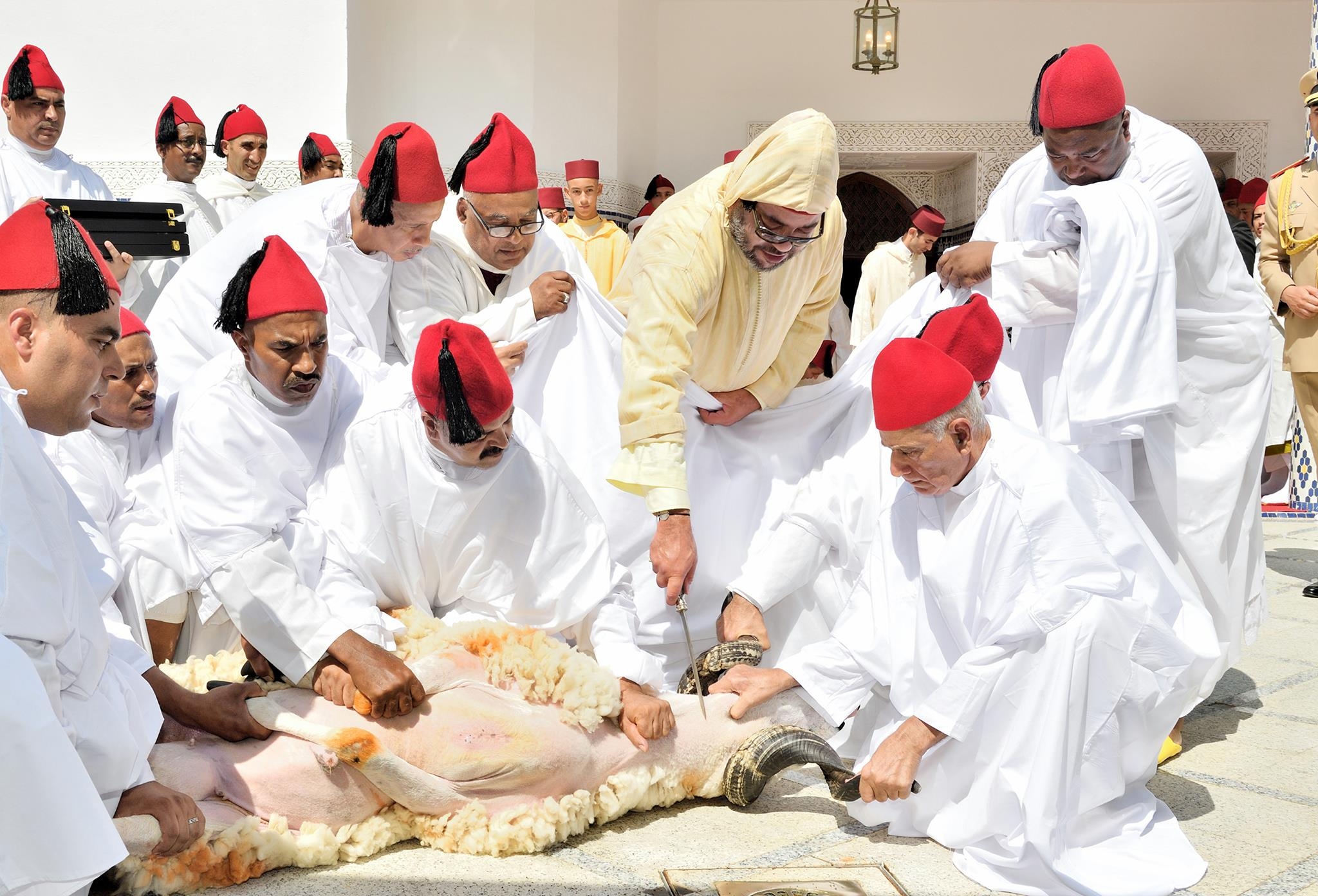 عيد الأضحى.. الاتحاد المغربي لجمعيات المستهلكين يدعو المغاربة إلى الالتزام بالتوجيهات الملكية