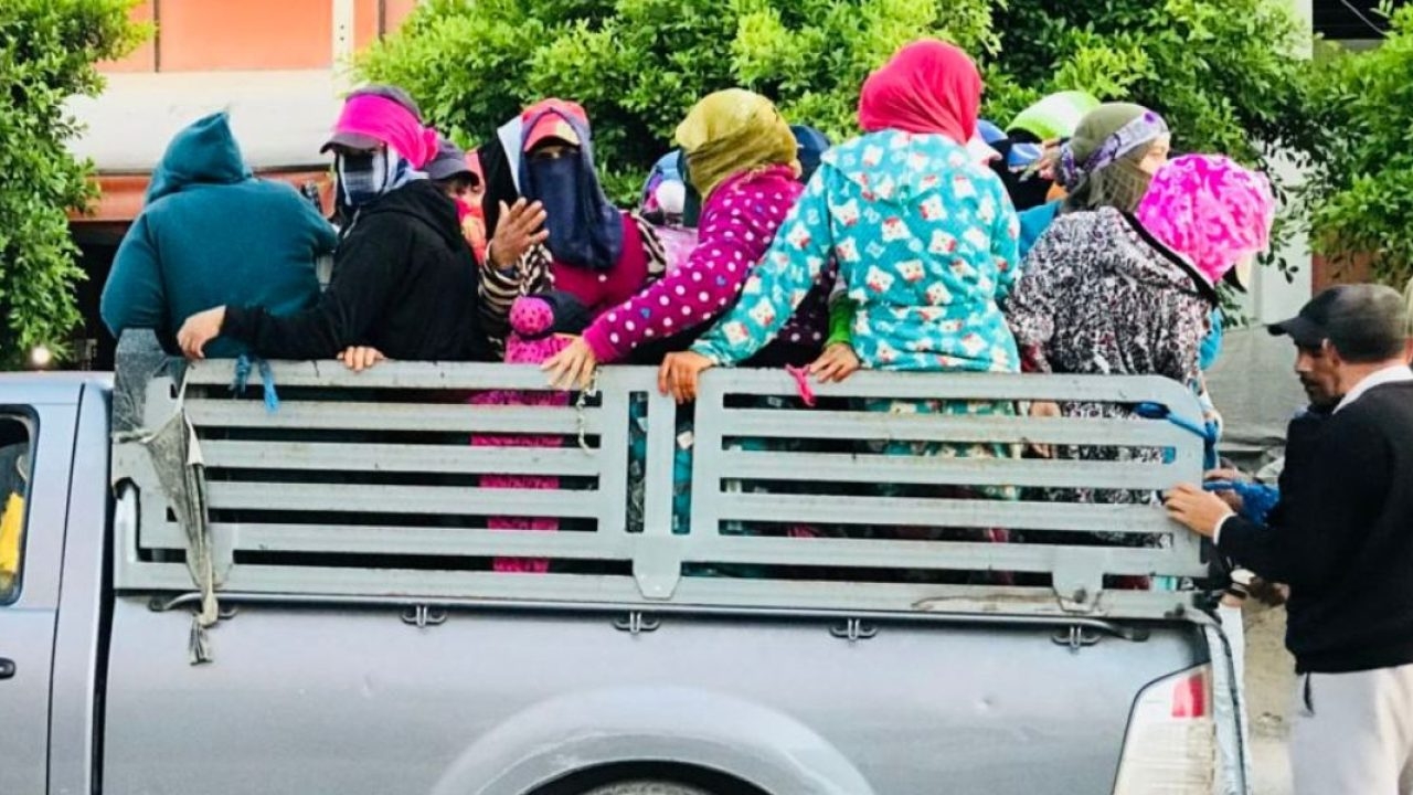 وفاة عاملات فلاحيات في حادث 'بيكوب' يرفع مطالب بتفعيل الرقابة الصارمة