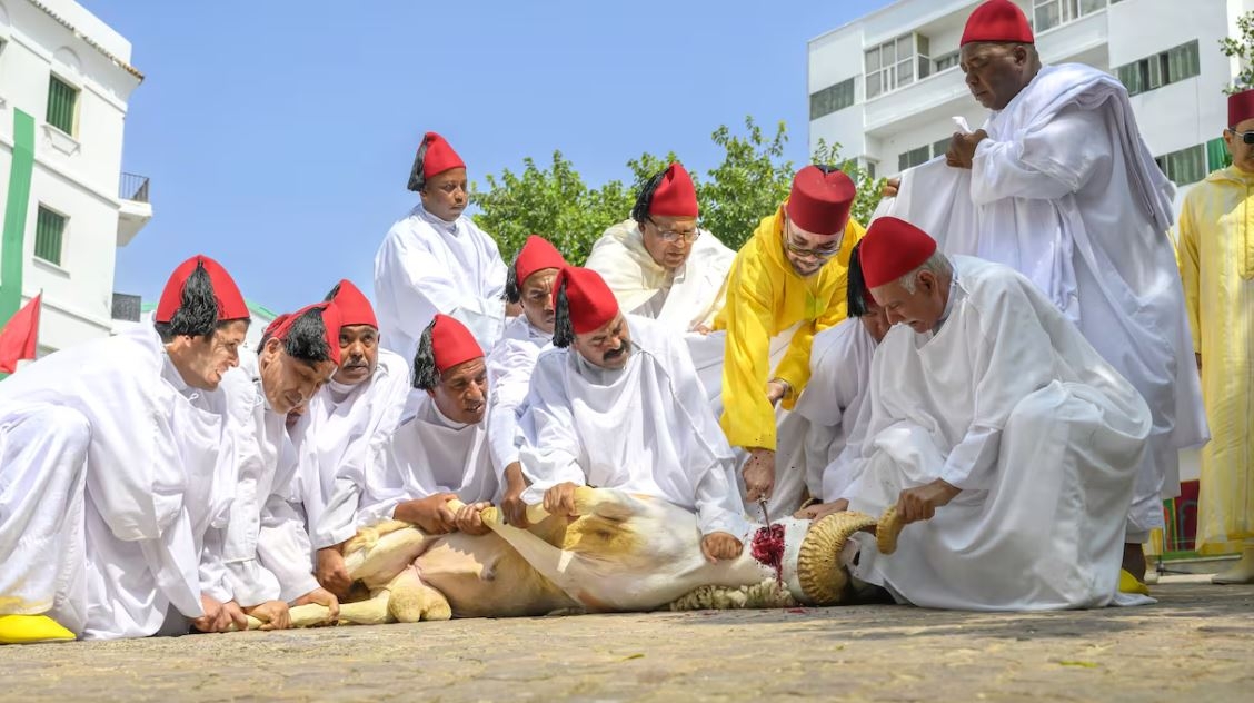 أمير المؤمنين يؤدي صلاة عيد الأضحى بتطوان وينحر الأضحية