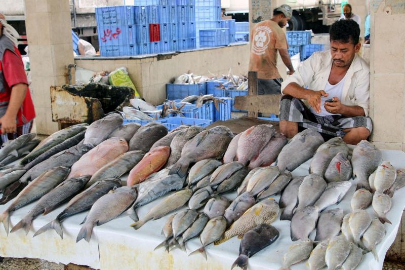 آخر تحديث لأسعار الأسماك في عدن الاثنين 11 أغسطس 2025