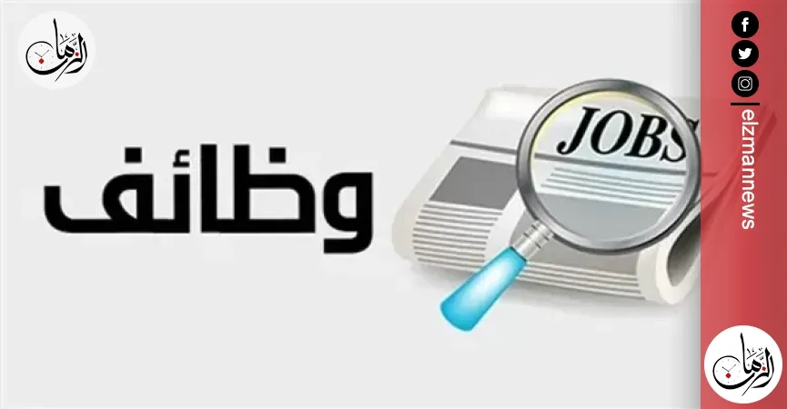 وظائف جديدة.. تفاصيل طرح 3633 فُرصة عمل في القطاع الخاص برواتب مجزية