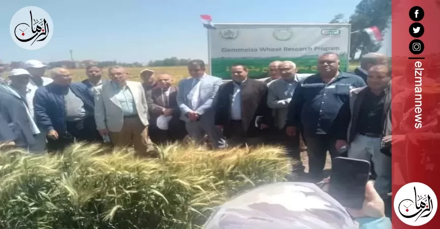 أبرز أنشطة مركز البحوث الزراعية في أسبوع خلال الفترة من 12 إلى 18 أبريل 2025