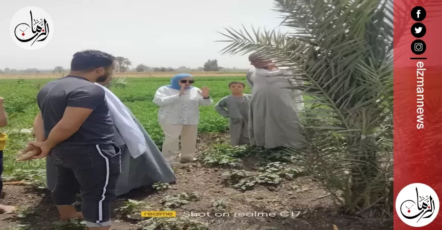 ننشر إنجازات مركز البحوث الزراعية